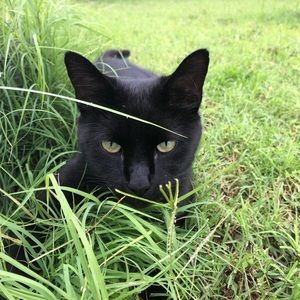 Meet your Posher, Adelle